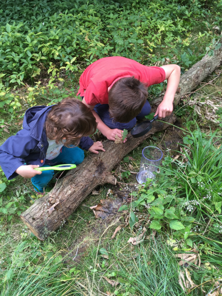 view from above of two children bending over a log outdoors and inspecting the surface.